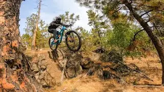 Beacon Hill - Bomber and Bee Line Trail