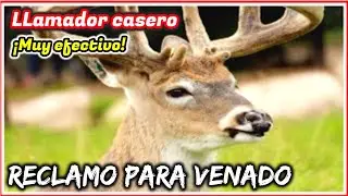 Reclamo de venado cola blanca macho EFECTIVO