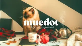 плейлист [кафе] | Не спеша, но без остановок | Перед работой ON: soft chill r&b | muedot 🐱🍃