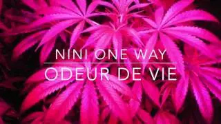 ► Nini One Way | Odeur de vie | nouveaut&eacute; Reggae fran&ccedil;ais 2017 ♫