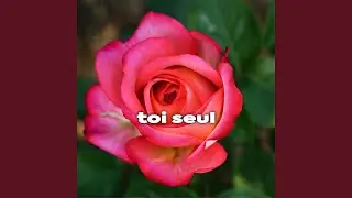 toi seul
