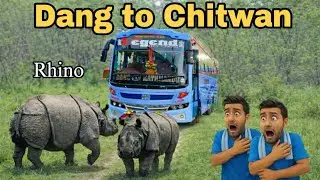 Dang to Chitwan legend holidays visit jungal Rhino #bussimulatorindonesia #arjunairbus 