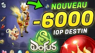-6000 NOUVEAU STUFF UP CAC COMBO DESTIN SUR DOFUS 3