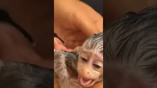 My baby take a bath so cute ll  Cool baby #viral #trend# video# shorts# reels#trending # trending