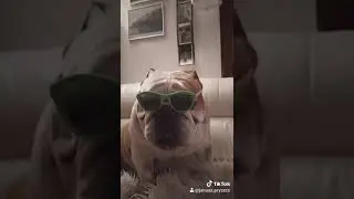 Disco Pluto