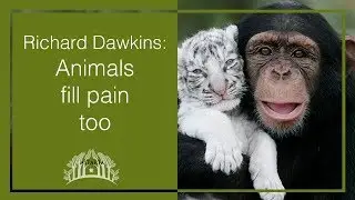 Animals Feel Pain Too // Животные тоже чувствуют боль