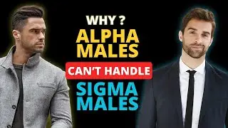 Why Alpha Males Can&rsquo;t Handle Sigma Males - Revealing the Power Dynamic