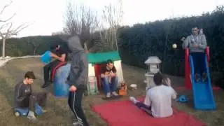 HARLEM SHAKE GARDEN