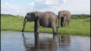 Launching the Climate Adaptation and Protected Areas Initiative