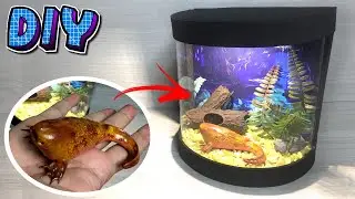 Como Fazer o Dart de Stranger Things  + Terrário (com papelão).