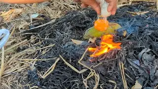 Strange but Relaxing 🔥 Banana & Egg Experiment | 4K