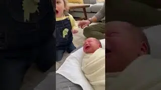 &ldquo;Toddler Peace Mission Failed 😂💛&rdquo; #ToddlerChaos#NewbornLife#SiblingMoments#ToddlerLogic#FunnyKids