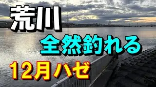 荒川ハゼ釣り/手前はダメ　朝まずめ　マハゼ