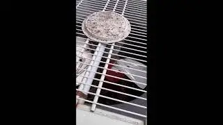 2000 Trane XB1000 4-ton Air Conditioner at my Aunt's House