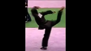 在日本的戳脚名家2002東京 Chuo jiao
