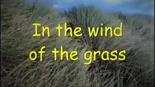 4K Relax video and music In the wind of the grass. Wind Through The Grass
