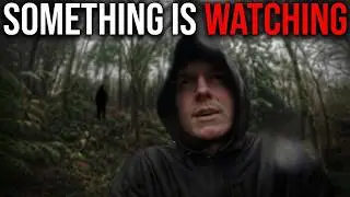 10 DISTURBING Forest Encounters Caught on Camera