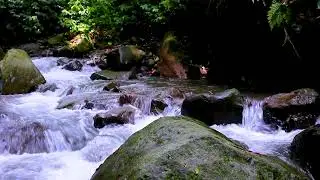 Calm Daily Stress with Mountain River Flowing Sounds, Gentle Water White Noise