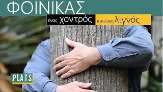 ΦΟΙΝΙΚΑΣ: ένας ΧΟΝΤΡΟΣ και ένας ΛΙΓΝΟΣ