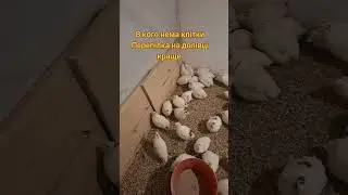 Бізнес на полу