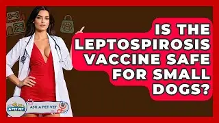 Is The Leptospirosis Vaccine Safe For Small Dogs? - Ask A Pet Vet