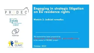 Strategic Litigation &ndash; Module 3: Judicial Remedies & The EU Court of Justice