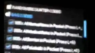 How to use action replay dsi