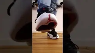 Air Jordan 12 
