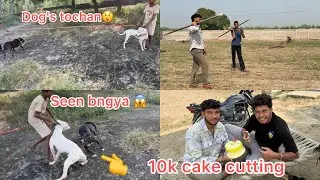 Dogs ka tochan krvadiya😱10k cake cutting❤️@RitikDogKennel177