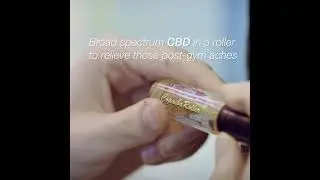 CBD Muscle Roll On by Wild Hemp