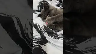 отдалась работе 🙂