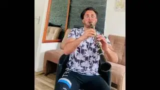 Comparing the sound of Clarinet & Saxophone (same melody)