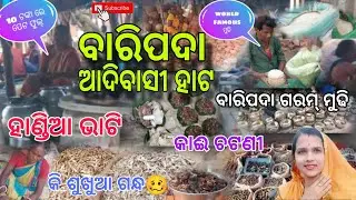 ବାରିପଦା ହାଟ ।। ଆଦିବାସୀ ମାନଙ୍କର special ହାଣ୍ଡିଆ ଭାଟି।। world famous ବାରିପଦା ମୁଢ଼ି 🤗@papusriya6197