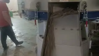 Birch Rubber Wood Sawdust Pellet Making Machine