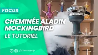 Foyer Aladin Mocking Bird: Comment pr&eacute;parer la t&ecirc;te des chichas MVP 360, 460, 470, 500, Detox...