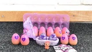 Hatch Bright! Hatchimals CollEGGtibles Season 4! Limited edition + special edition