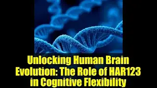 Unlocking Human Brain Evolution: The Role of HAR123 in Cognitive Flexibility