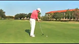 The Swing Plane
