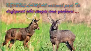 KEIBUL LAMJAO NATIONAL PARK&hellip;.