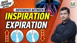 Difference Between Inspiration and Expiration | Quick Learning Series by Siddharth Sir| DAMS Nursing