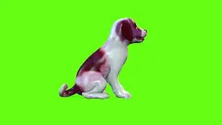 Green Screen Puppy Animation Puppy Green Screen Video