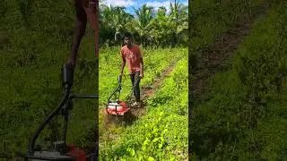 63CC Mini Power Weeder Rs.16000, 9787672239, Melur, Madurai #weeder #powerweeder #3hp #miniweeder