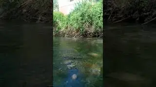 Ош шаары, Ак-Буура дарыясы