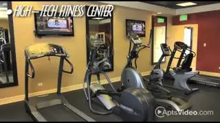 Summit Ridge in Denver, CO - ForRent.com