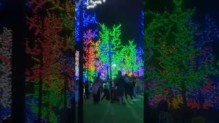 rock garden brahmapur