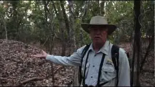 Mike's Amazing Mound-Builder
