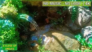 Fall Asleep Instantly to Relaxing Water Stream Sounds - 2 Hours No Loop