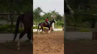 5 year Kid Learning Horse Riding🐎🔥 #horse#equestrian#horseriding#pony#horselover#showjumping #shorts