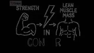 Power, Strength and Body Composition in Functional performance 
