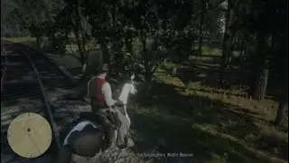 Catching the Legendary Beaver and Selling Moonshine in RDO